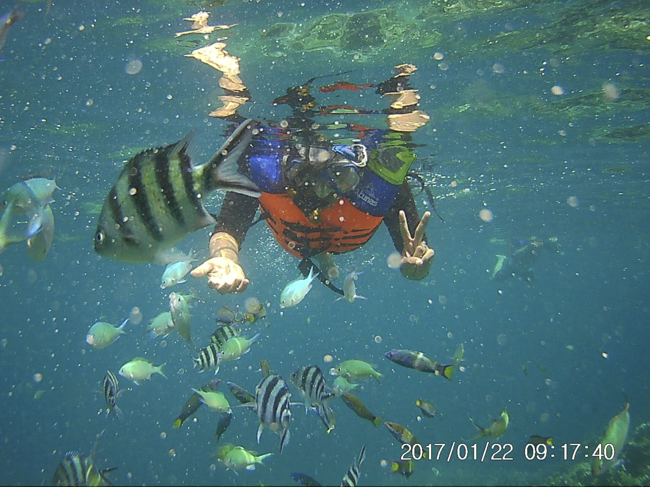 snorkeling indonesia snorkeling java gili labak madura island 2