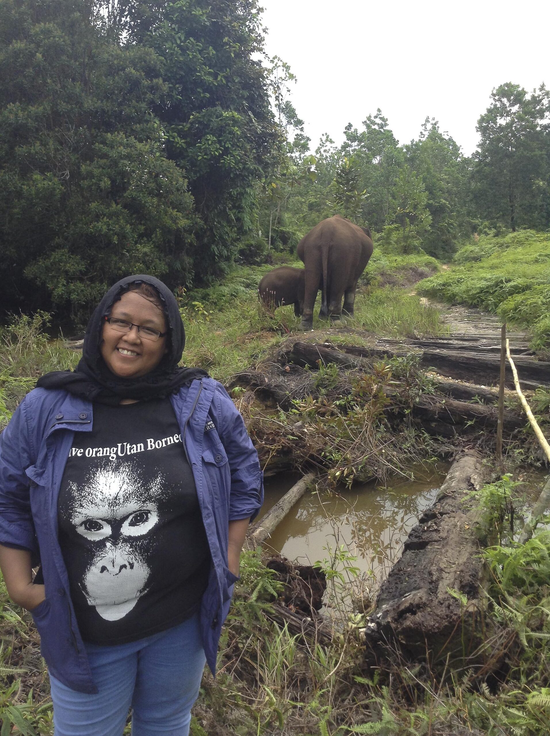 tesso nilo national park indonesia elephant conservation tour sanctuary sumatra 6 scaled